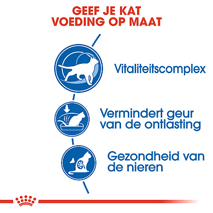 Royal Canin Kattenvoer Indoor 7+ 1,5 kg