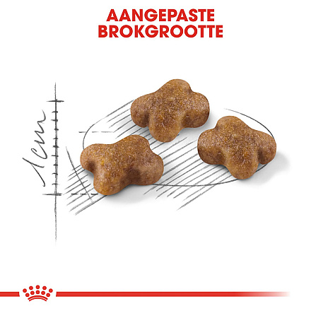 Royal Canin Kattenvoer Kitten 400 gr