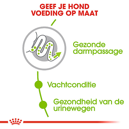 Royal Canin Hondenvoer<br> X-Small Adult 8+ 1.5 kg