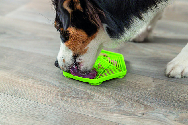 TRIXIE Lick'n'Snack Mat met Zuignappen Siliconen Groen