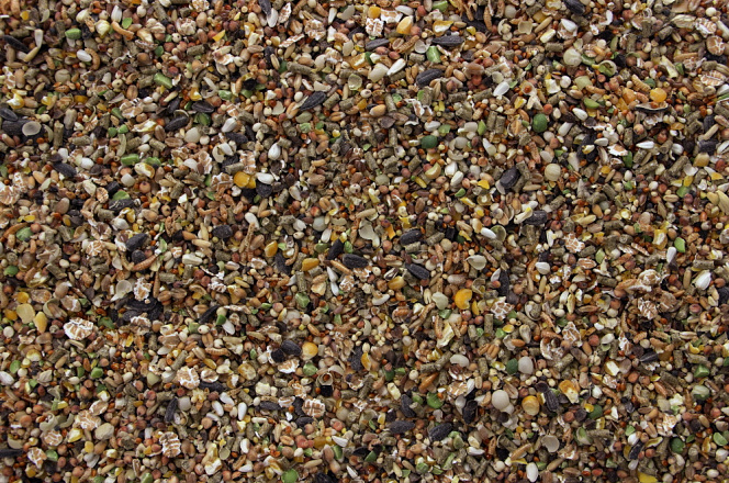 Kippen Delicatesse 5 kg