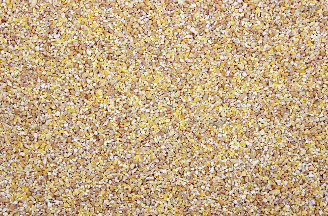 Kuikenzaad I 1 kg