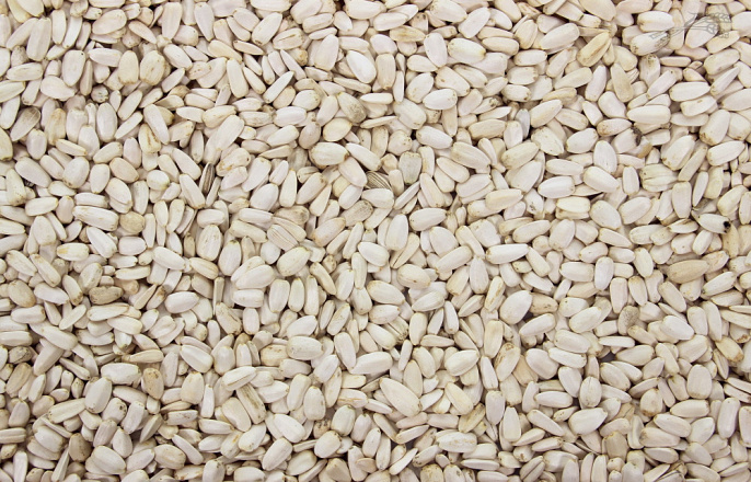 Zonnepitten Wit 500 gr