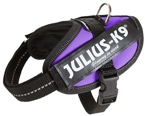 Julius K9 IDC Powerharness purple