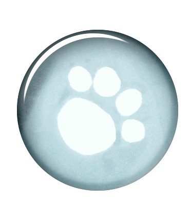 TRIXIE regenjas Tarbes zwart